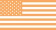 US Flag Orange Icon US Flag Orange Icon
